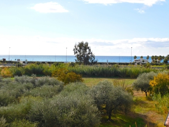 Santa Maria Del Cedro Apartment